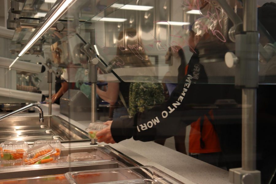 Students gather freshly picked goods for their lunches, within a variety of healthy foods.