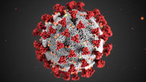 The Covid 19 virus 