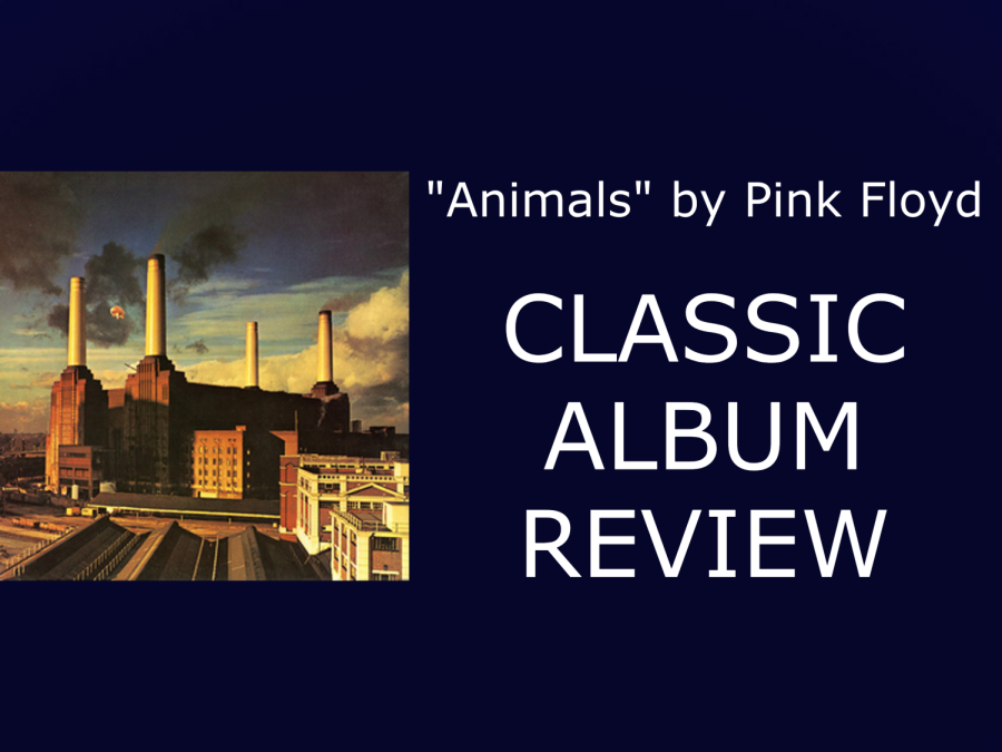 Top 143 + Animals album review - Lifewithvernonhoward.com